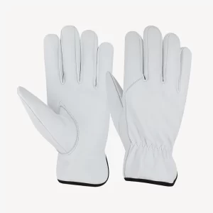 Luxury Driving Gloves